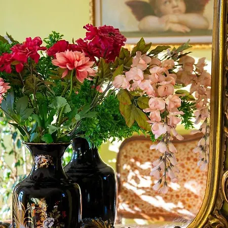 Belvedere Panzió Pieve Fosciana