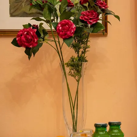 Belvedere Bed & Breakfast Pieve Fosciana