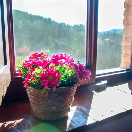 Bed & Breakfast Belvedere 3*