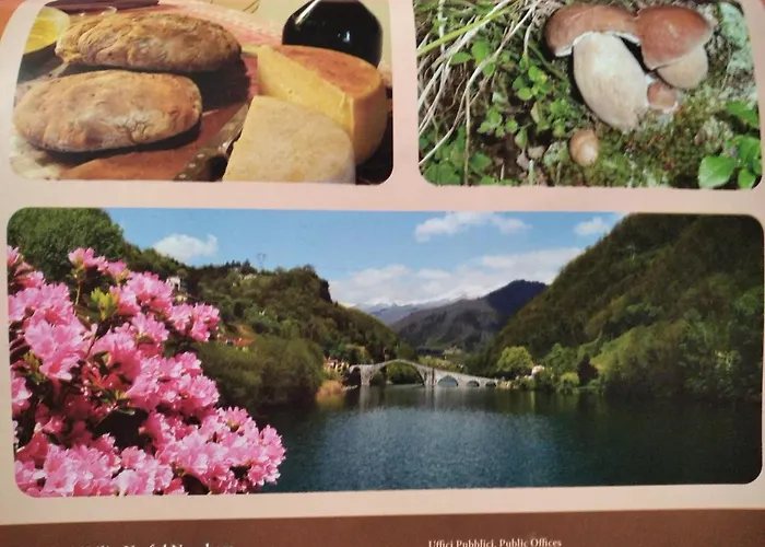Belvedere Bed & Breakfast Pieve Fosciana