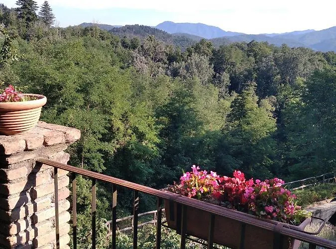 Bed & Breakfast Belvedere 3*