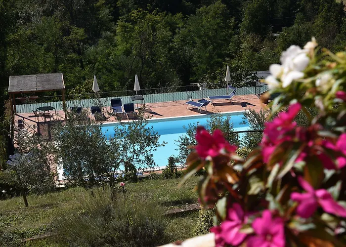 Bed & Breakfast Belvedere