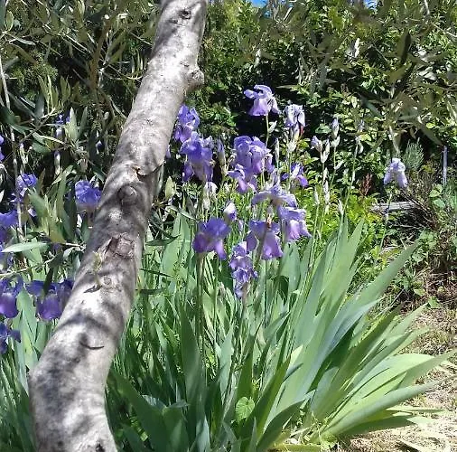 Bed & Breakfast Belvedere Pieve Fosciana